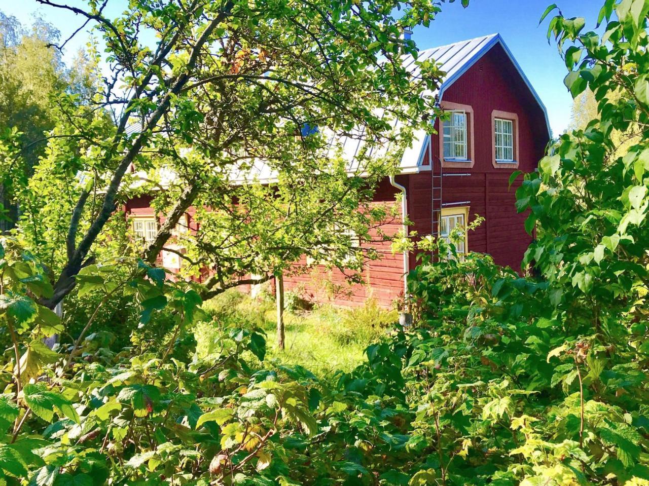 Kolin Mattila B&B Kolinkylä Dış mekan fotoğraf